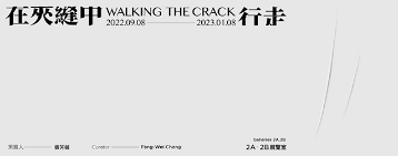 在夾縫中行走海報
