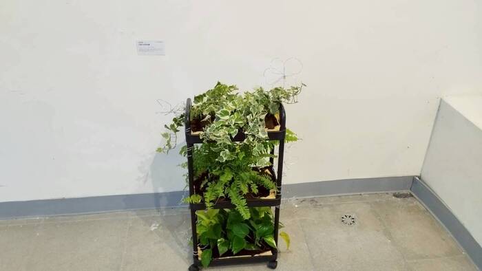 【課程展覽】114-1 當代跨領域藝術期末展圖片