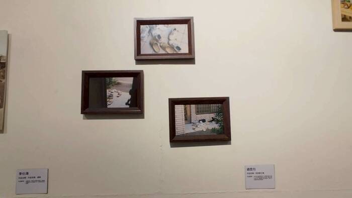 【課程展覽】114-1 攝影期末展圖片