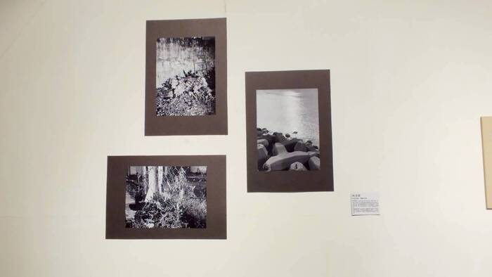 【課程展覽】114-1 攝影期末展圖片